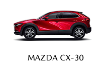 ag尊龙次世代MAZDA3昂克赛拉 底部导航