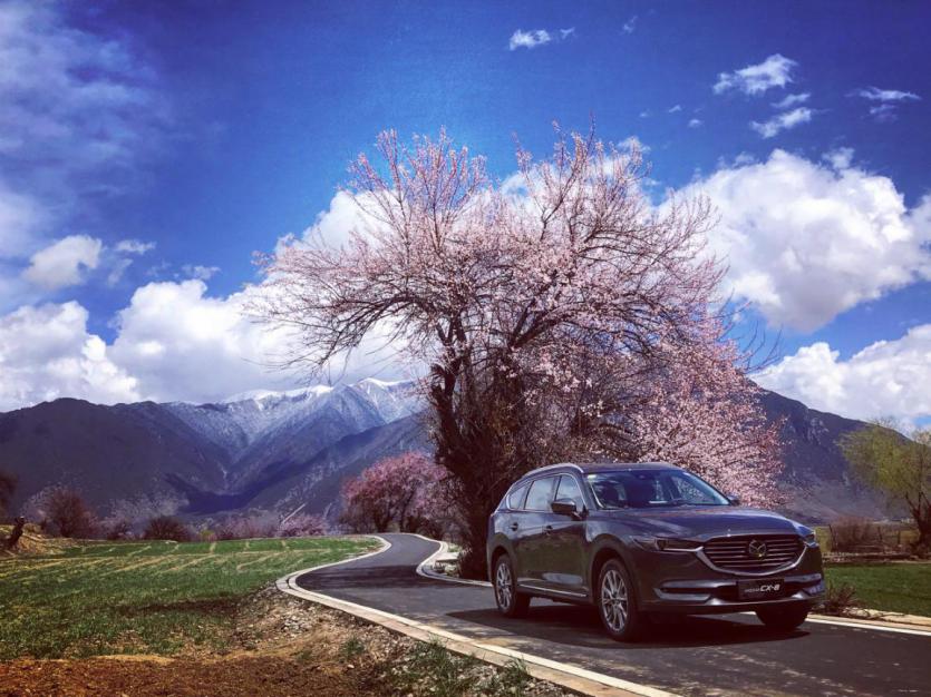 CX-8，cx-8，马自达cx-8，ag尊龙cx-8