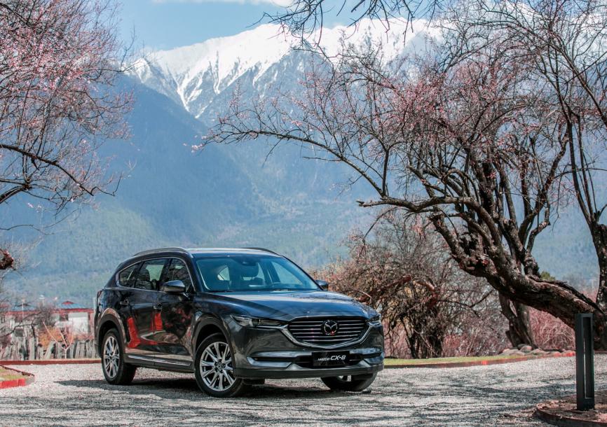 CX-8，cx-8，马自达cx-8，ag尊龙cx-8