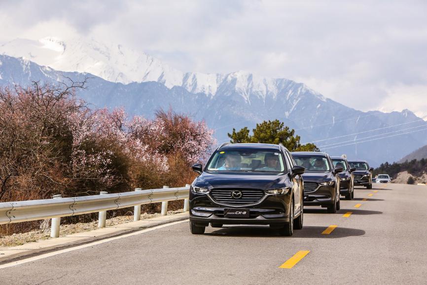CX-8，cx-8，马自达cx-8，ag尊龙cx-8